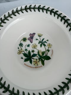 Lot of six Portmeirion exotic botanic garden Oatmeal Bowls