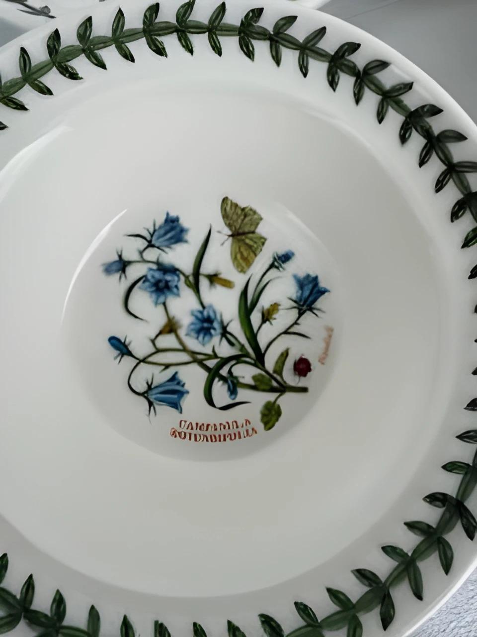 Lot de six bols à fromage Portmeirion au jardin botanique exotique en vente 1