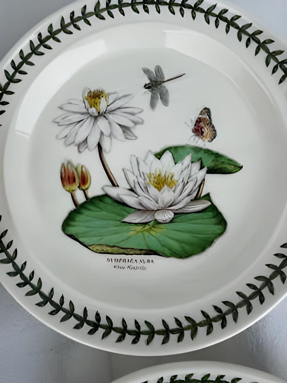 Lot of six portmeirion plates exotic botanic garden
L-10 1/2
W -10 1/2