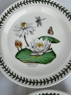 Lot of six portmeirion plates exotic botanic garden