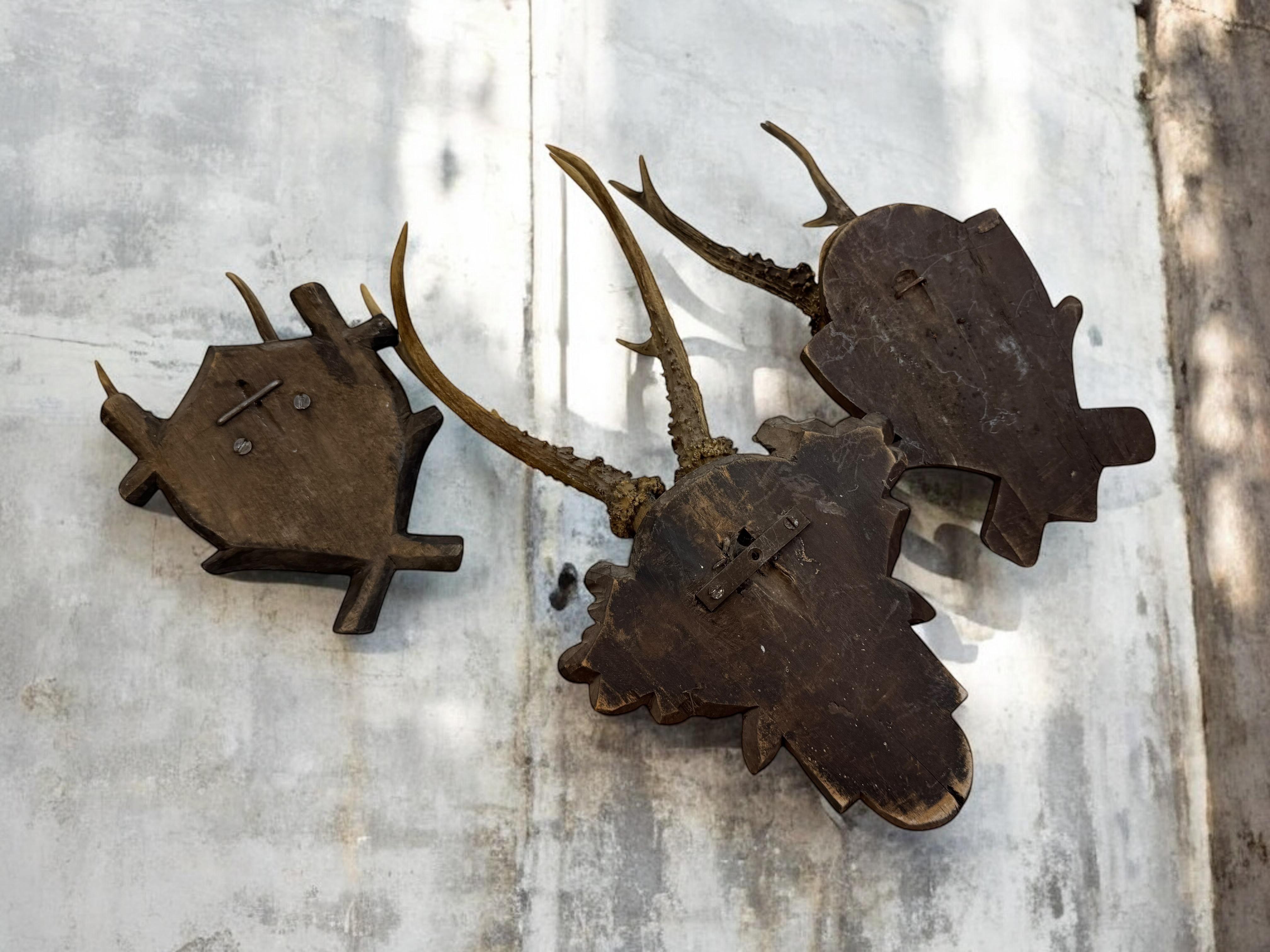 Lot of three Deer Antler Mount Trophy Black Forest Wood Plaque Austria Folk Art en vente 4