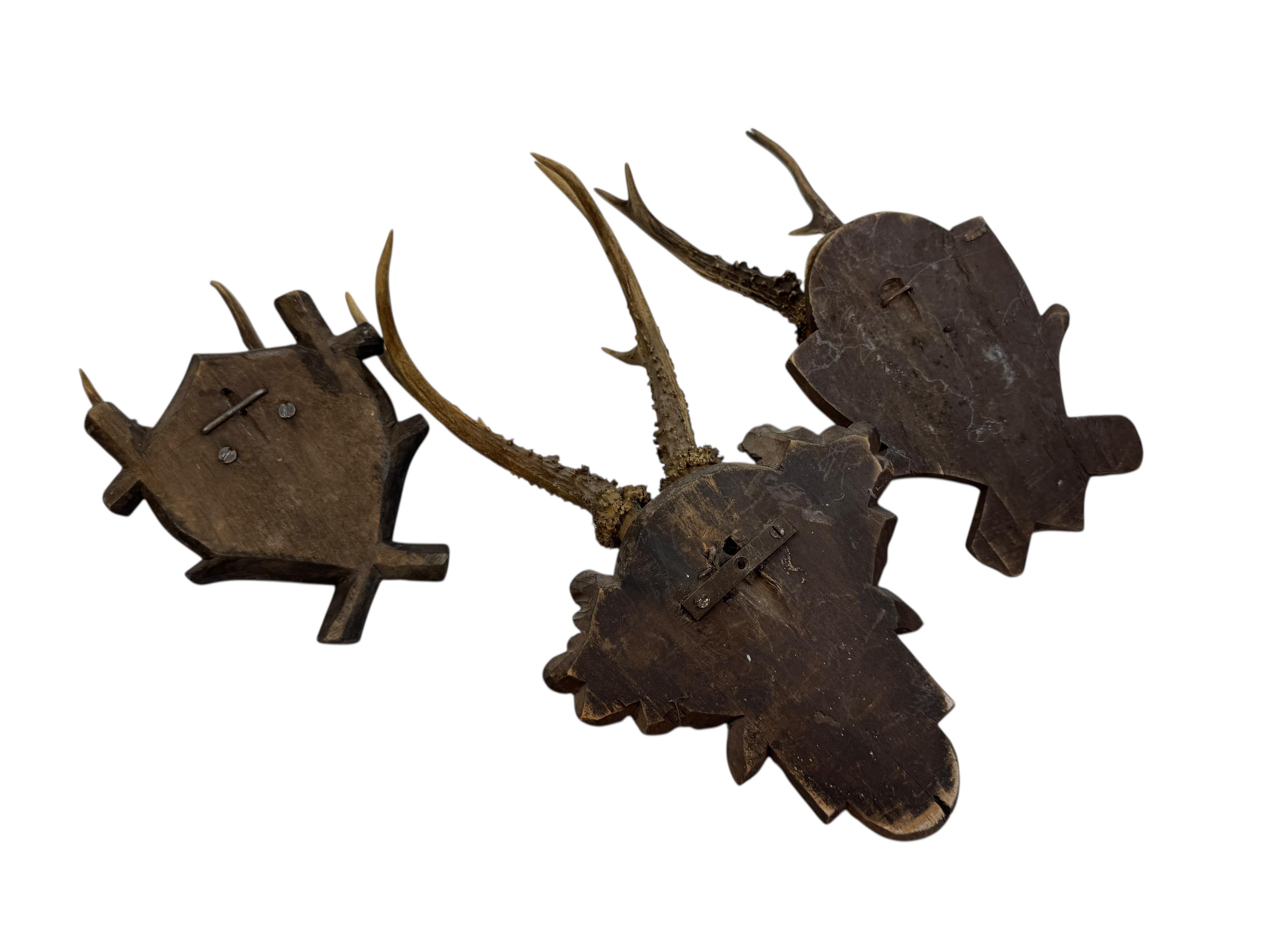 Lot of three Deer Antler Mount Trophy Black Forest Wood Plaque Austria Folk Art Bon état - En vente à Nuernberg, DE