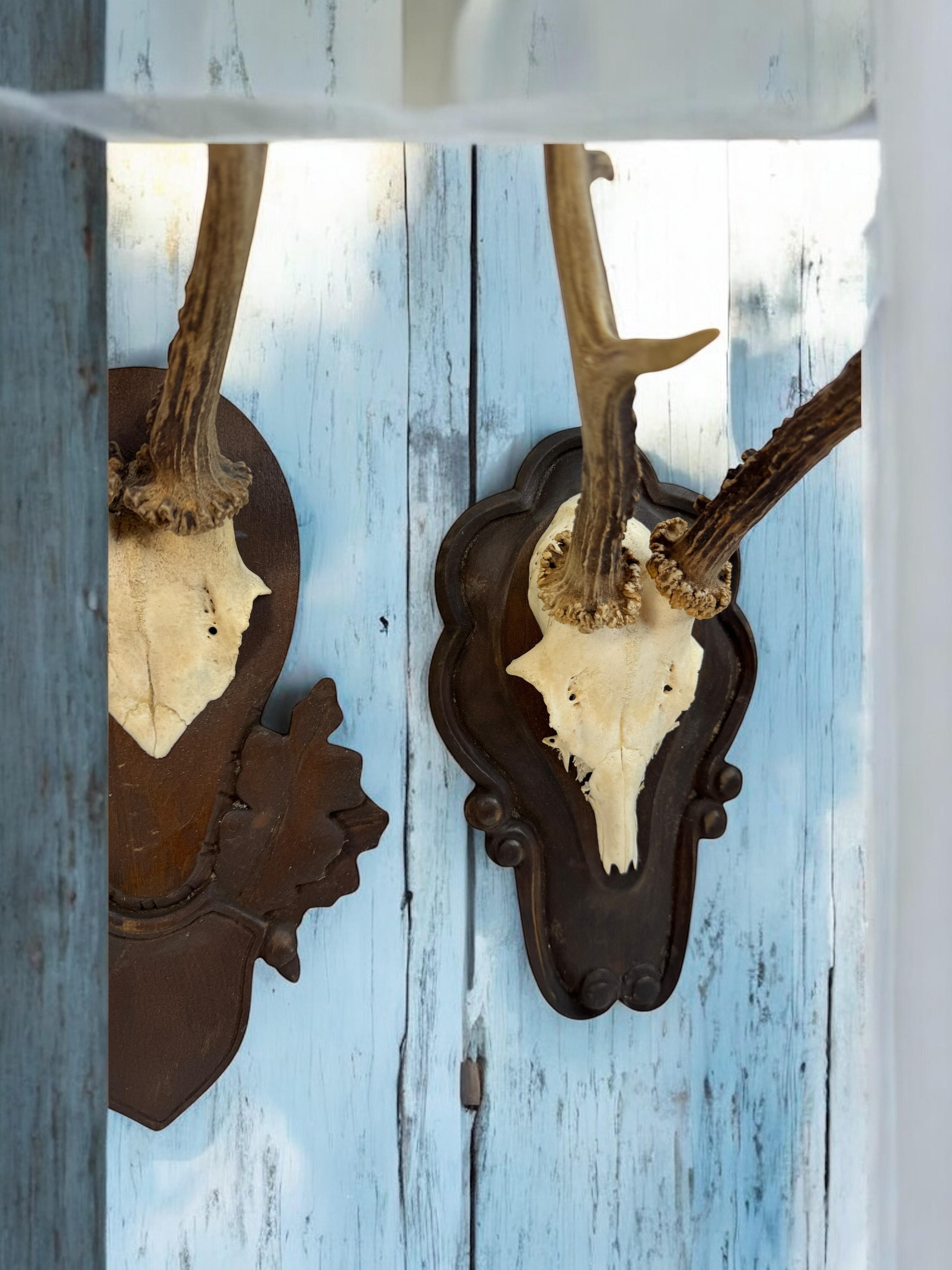 Lot of two Deer Antler Mount Trophy Black Forest Wood Plaque Austria Folk Art en vente 6