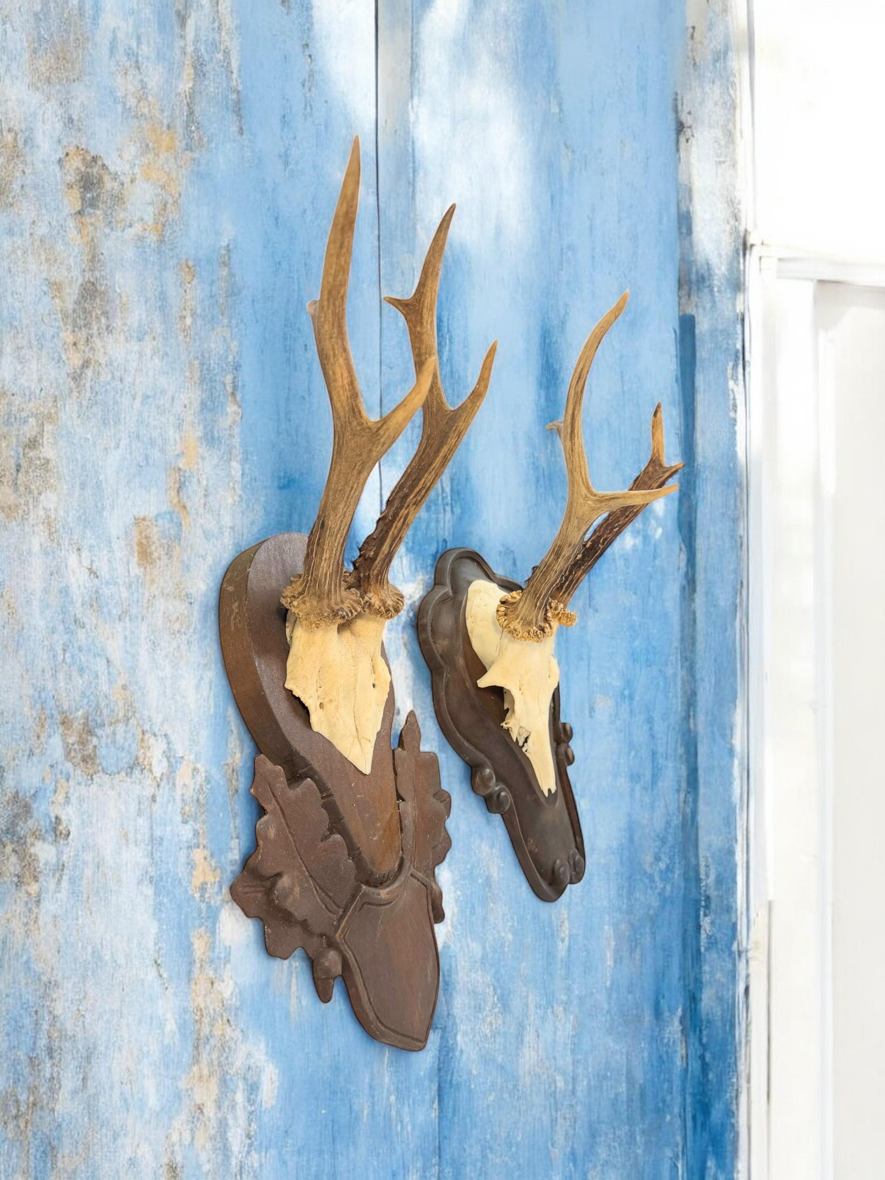 Lot of two Deer Antler Mount Trophy Black Forest Wood Plaque Austria Folk Art en vente 9