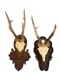 Lot of two Deer Antler Mount Trophy Black Forest Wood Plaque Austria Folk Art