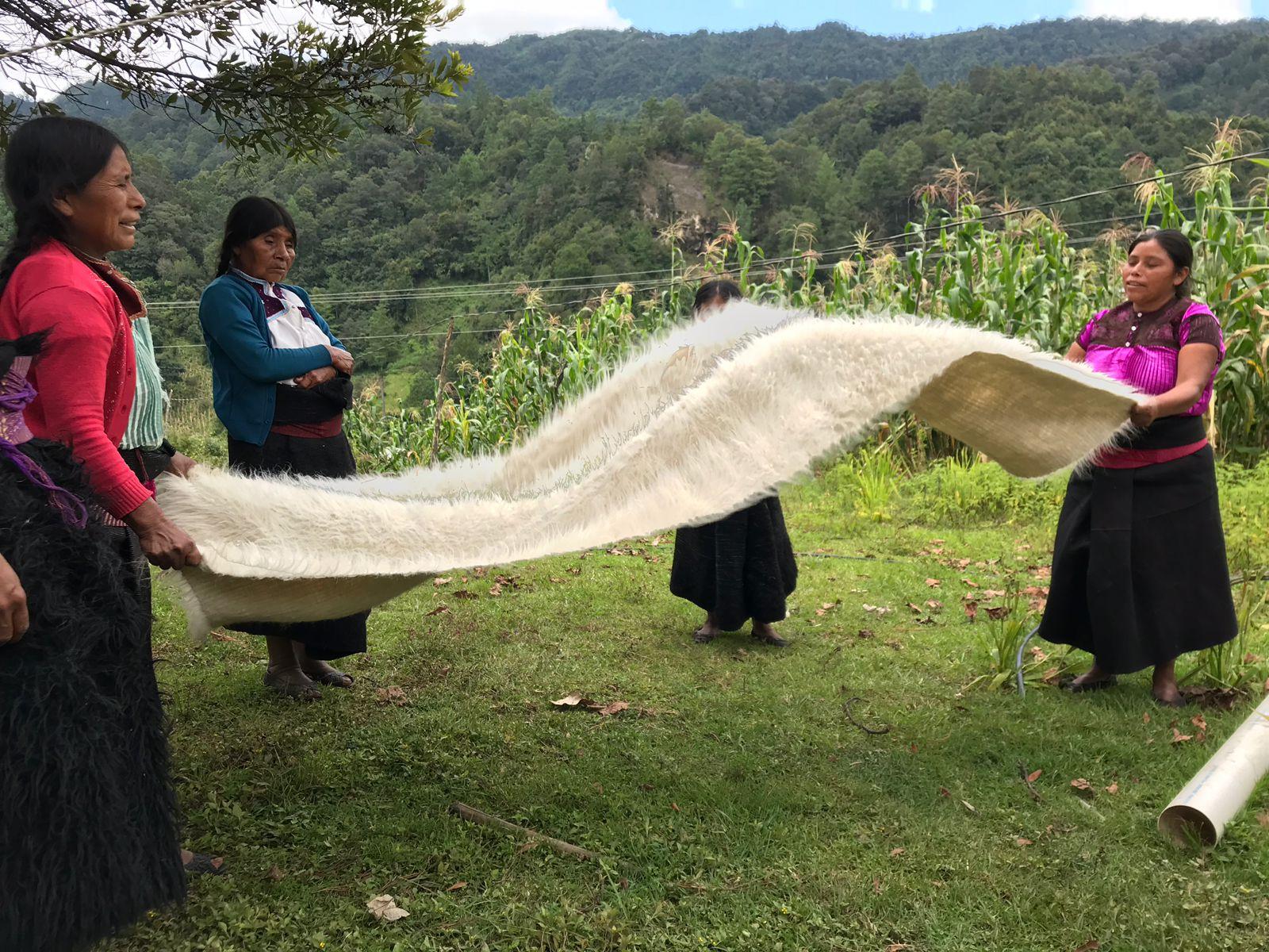 Pouf LOTO en laine à poils longs en forme de poil par Peca Neuf - En vente à Zapopan, Jalisco