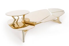 Lotus Coffee Table Polished Brass by Zhipeng Tan