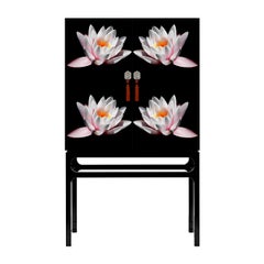 Lotus Contemporary Cabinet with Artistic Intervention by Axel Crieger