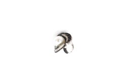 Reverse-set Black White Diamond Pavé & White South Sea Pearl 18 Karat Gold Ring