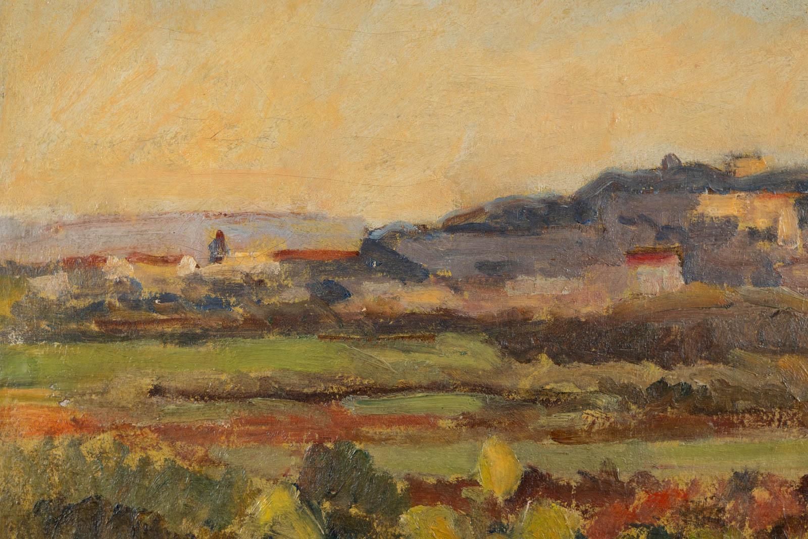 Avignone vu de Villeneuve 3