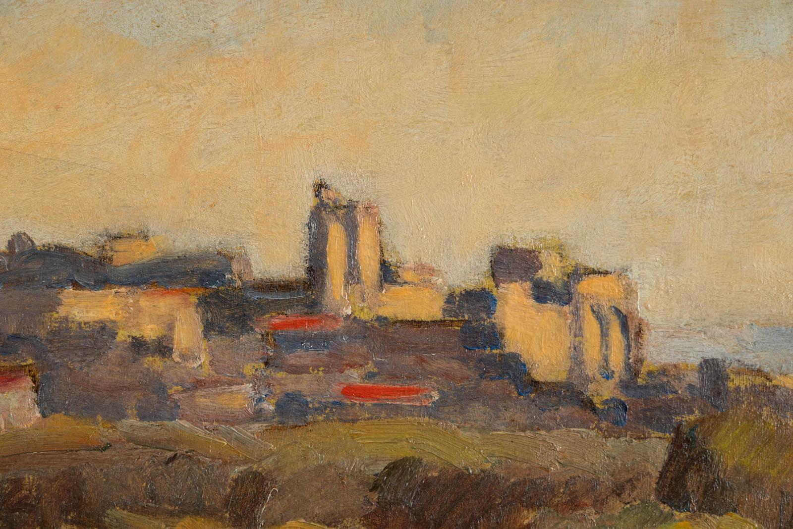 Avignone vu de Villeneuve 4