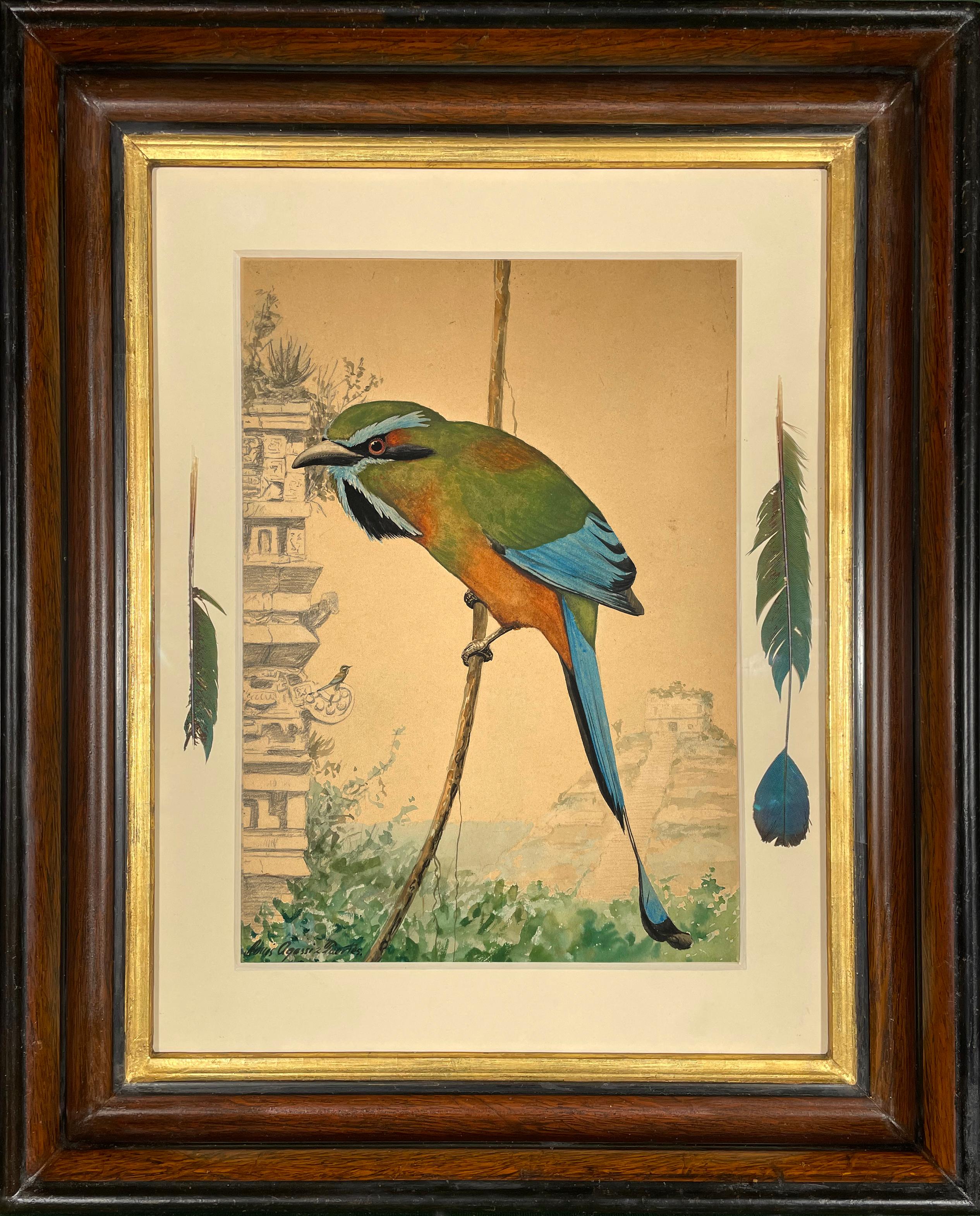 Motteggiatore dalle sopracciglia turchesi - Painting di Louis Agassiz Fuertes