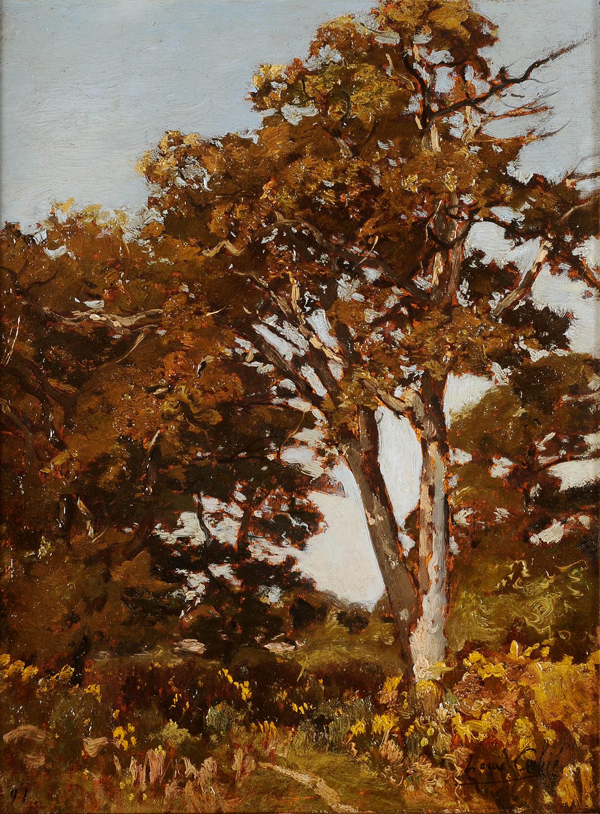 Louis Cabié (1853-1939) - Trees at Pessac - Gironde - Painting by Louis-Alexandre Cabié
