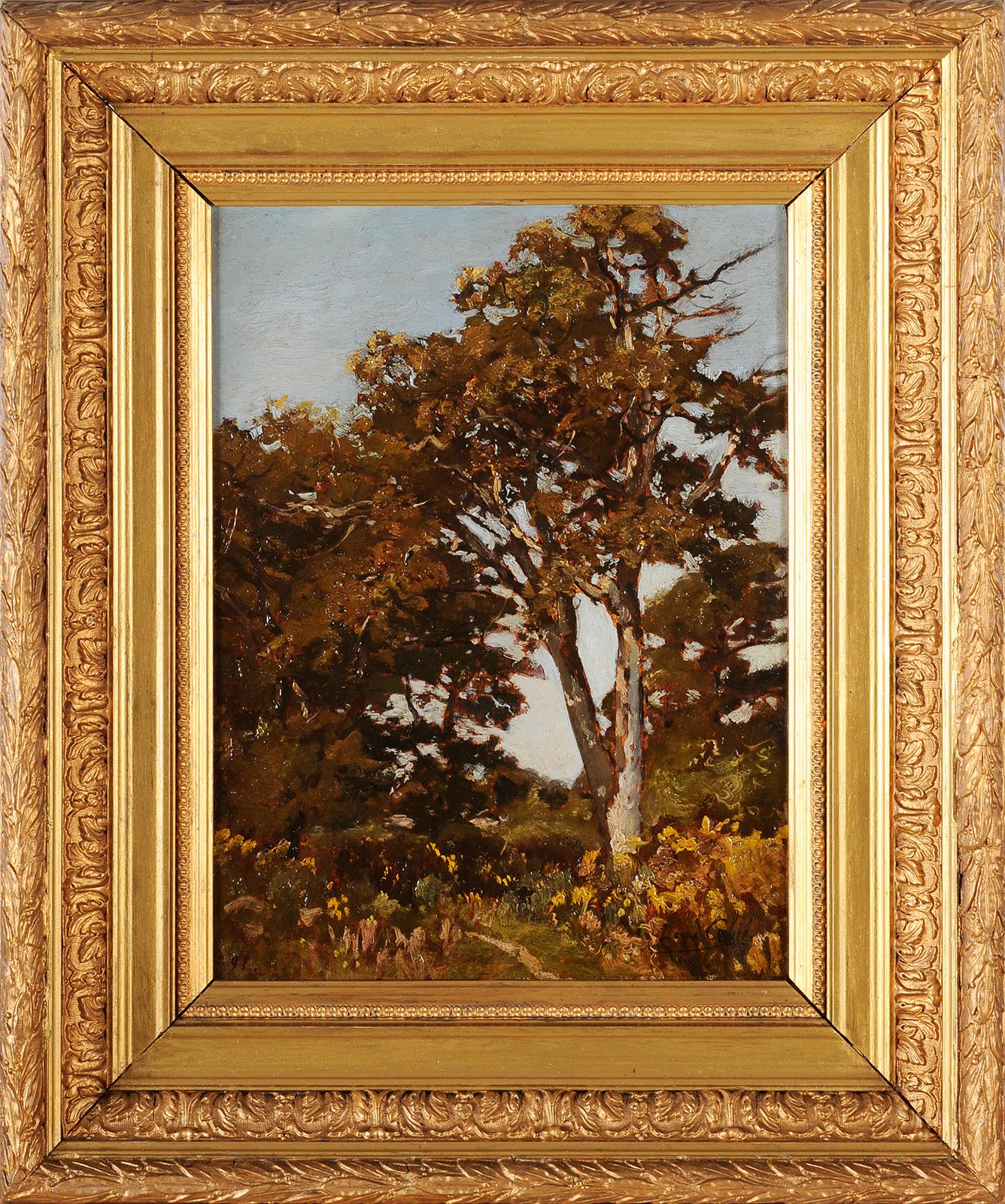Louis-Alexandre Cabié Landscape Painting - Louis Cabié (1853-1939) - Trees at Pessac - Gironde