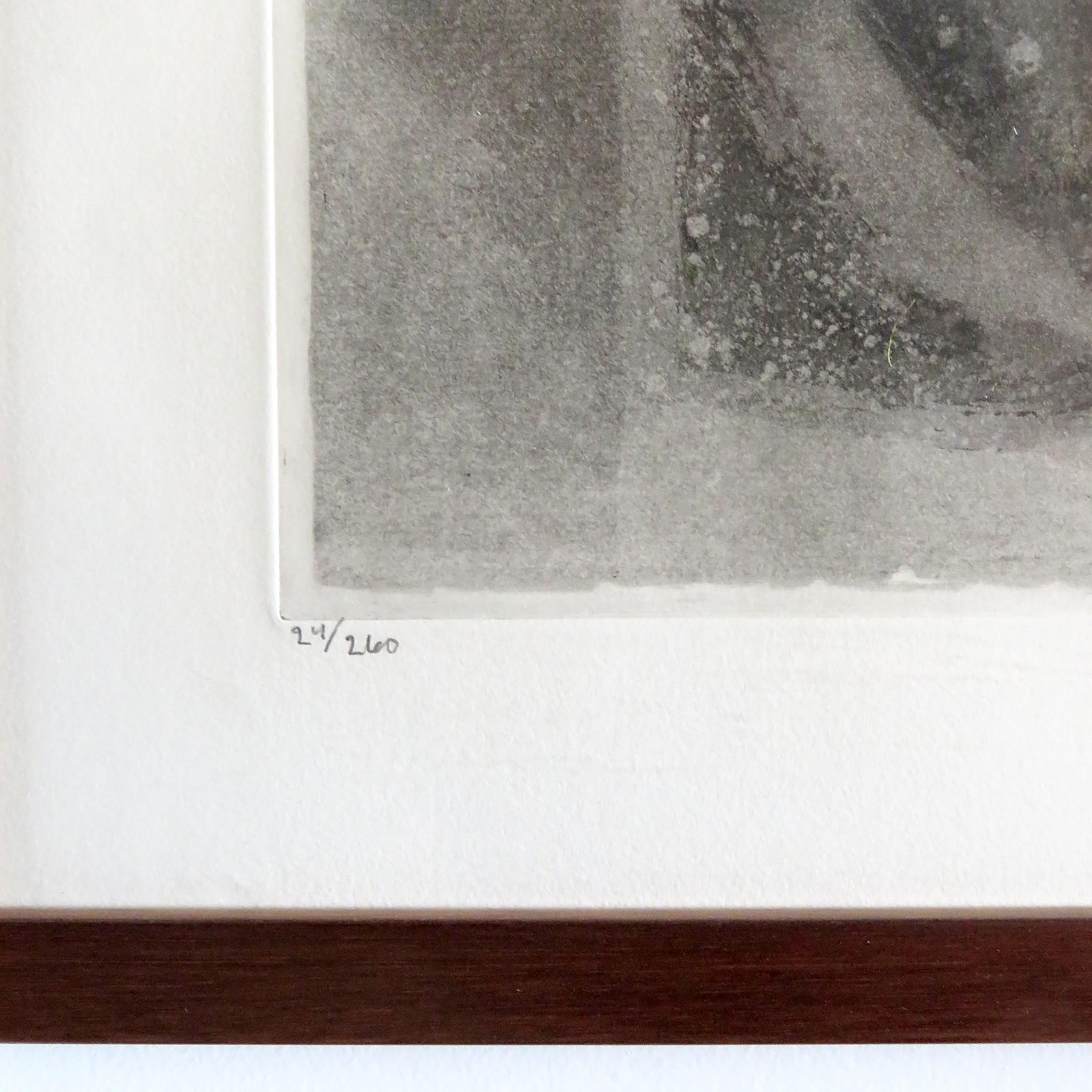 Louis Bastin 'Ohne Titel' Lithographie, signiert, nummeriert 24/260, 1970 (Holz) im Angebot