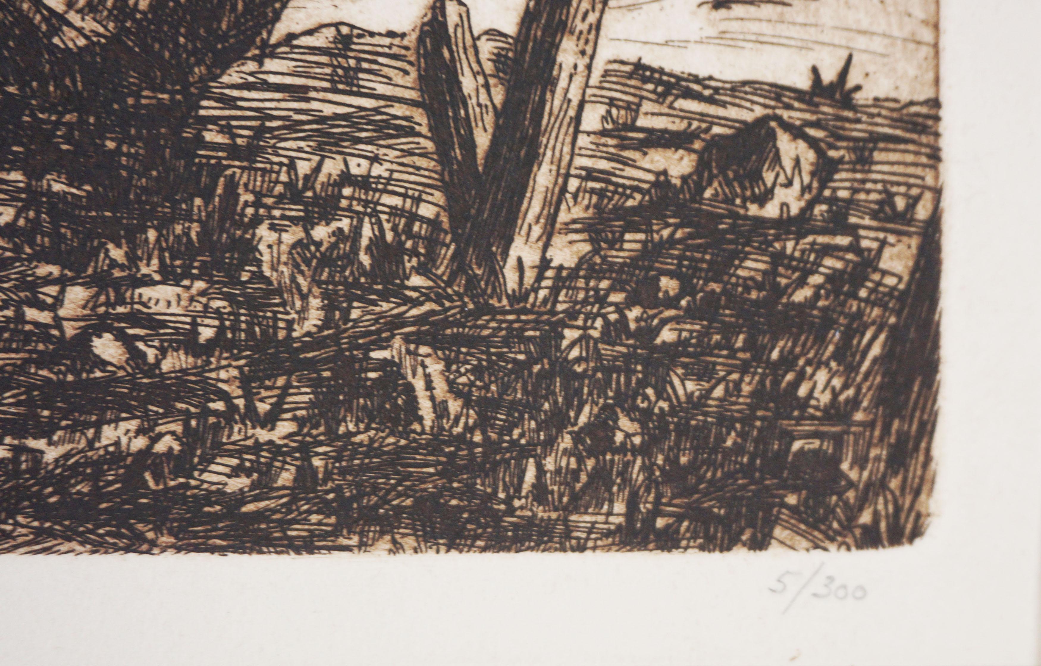 Grabado Vintage California Wine Country - Paisaje 