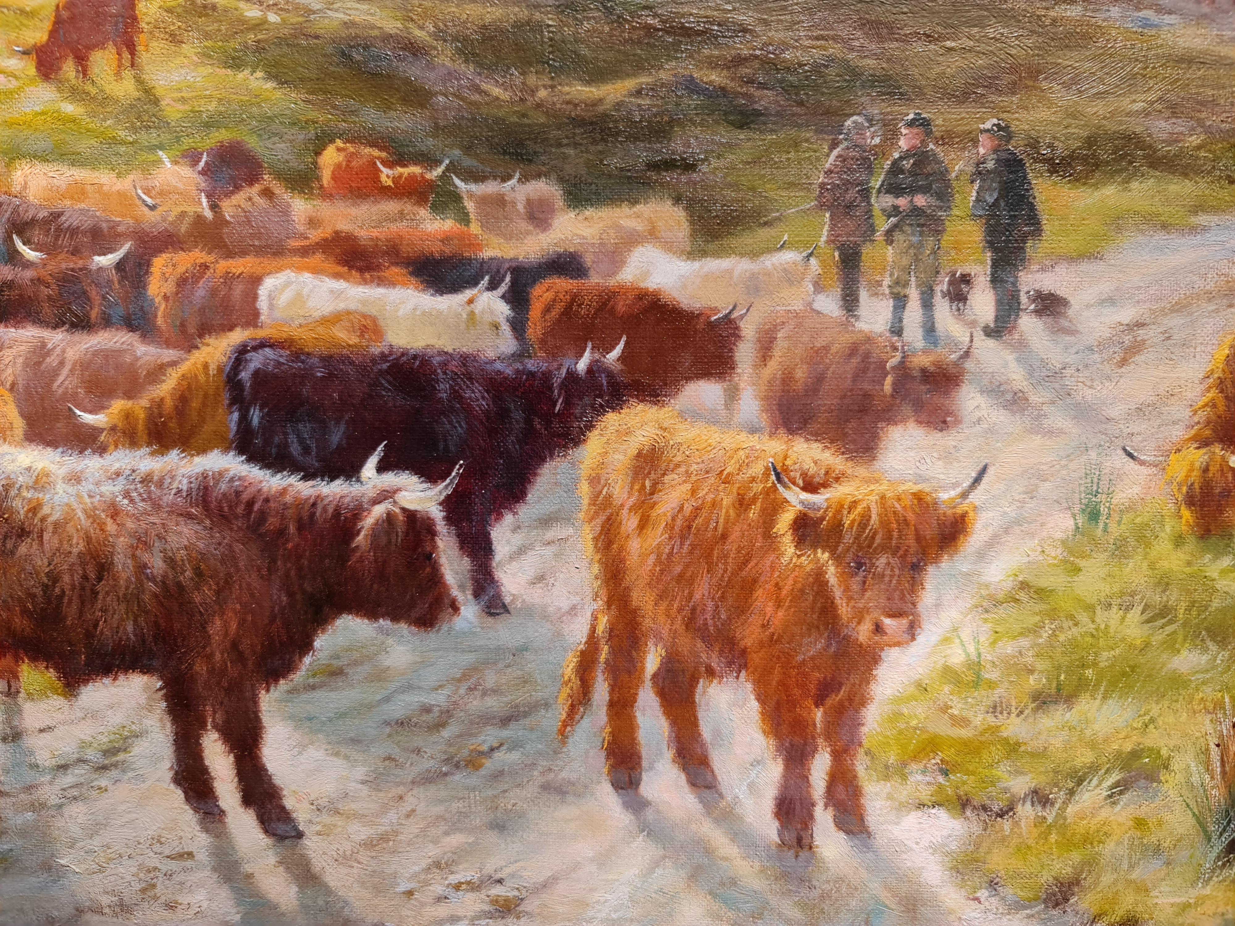 Highland Pastures For Sale 1