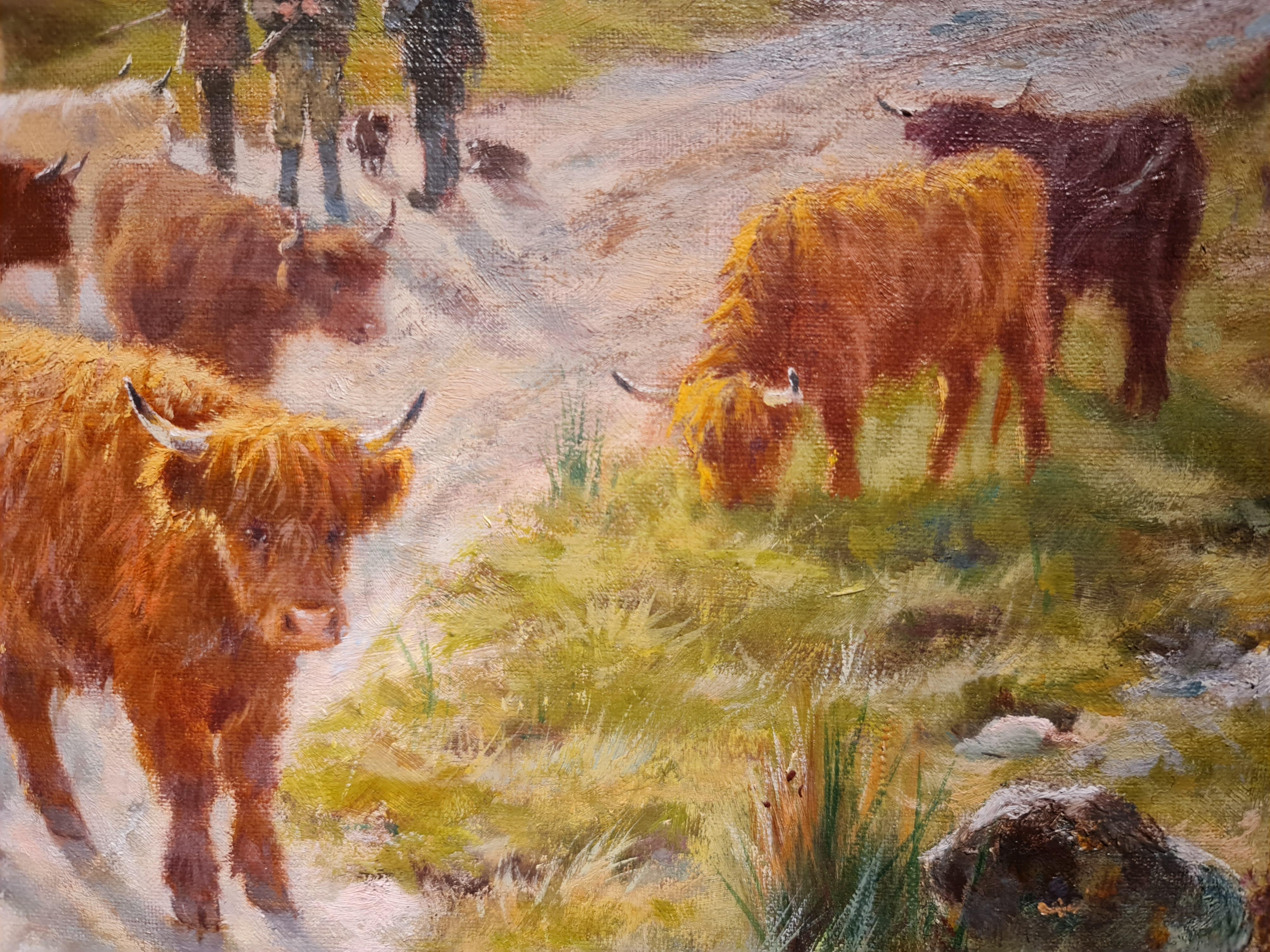 Highland Pastures For Sale 2