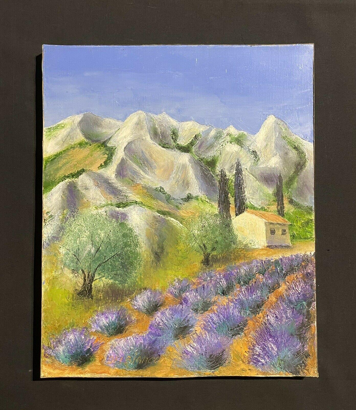 LOUIS DEL BIANCO (francese 1925) OLIO FIRMATO - CAMPI DI LAVANDA MONTAGNE DI PROVENZA - Painting di LOUIS DEL BIANCO (B.1925
