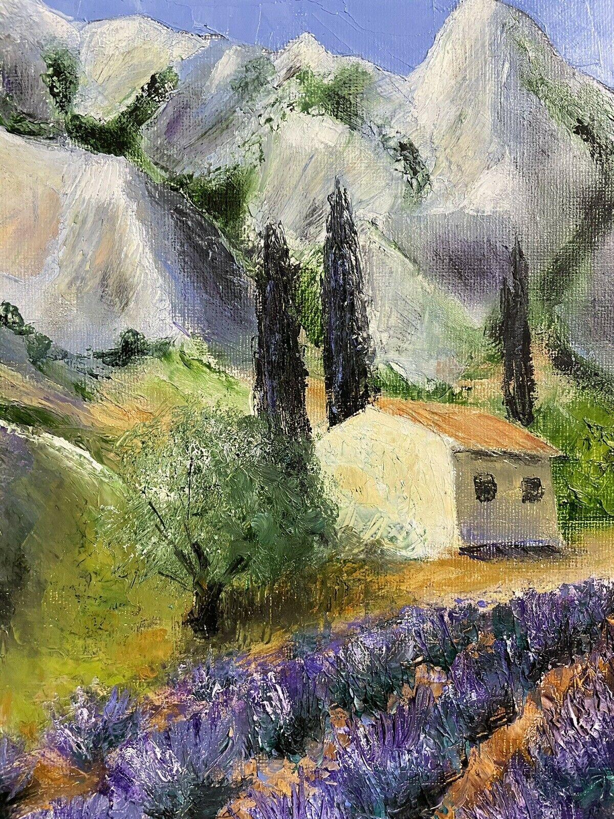 LOUIS DEL BIANCO (francese 1925) OLIO FIRMATO - CAMPI DI LAVANDA MONTAGNE DI PROVENZA - Landscape Painting Grigio di LOUIS DEL BIANCO (B.1925