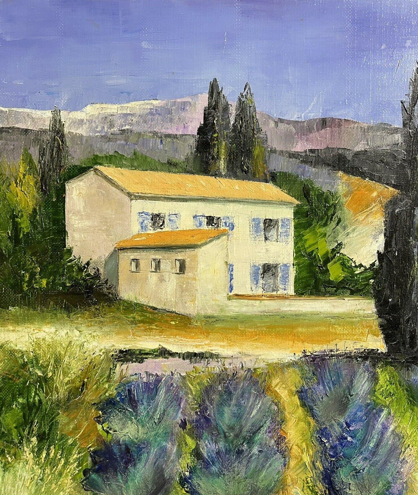 LOUIS DEL BIANCO (französisch 1925) SIGNED OIL - LAVENDER FIELDS PROVENCE SUMMER im Angebot 2