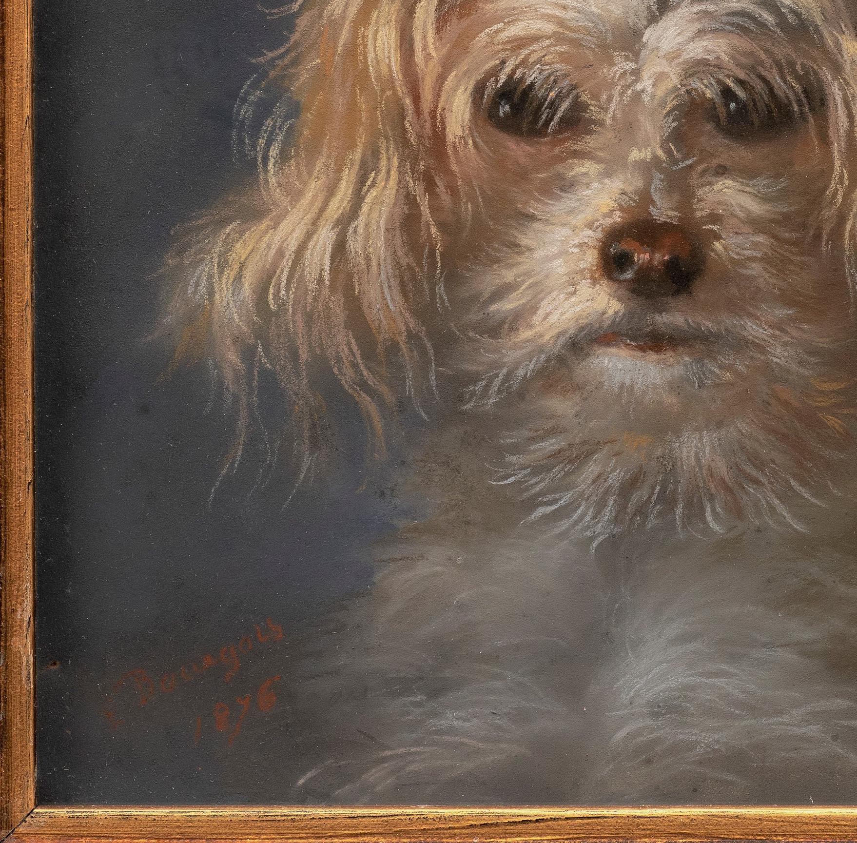 Antique Dog Portrait of 