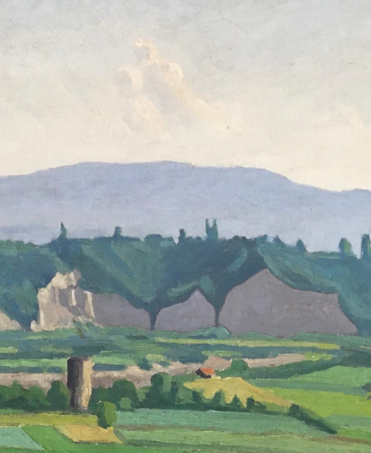 Landscape of the Geneva countryside and the Jura For Sale 1