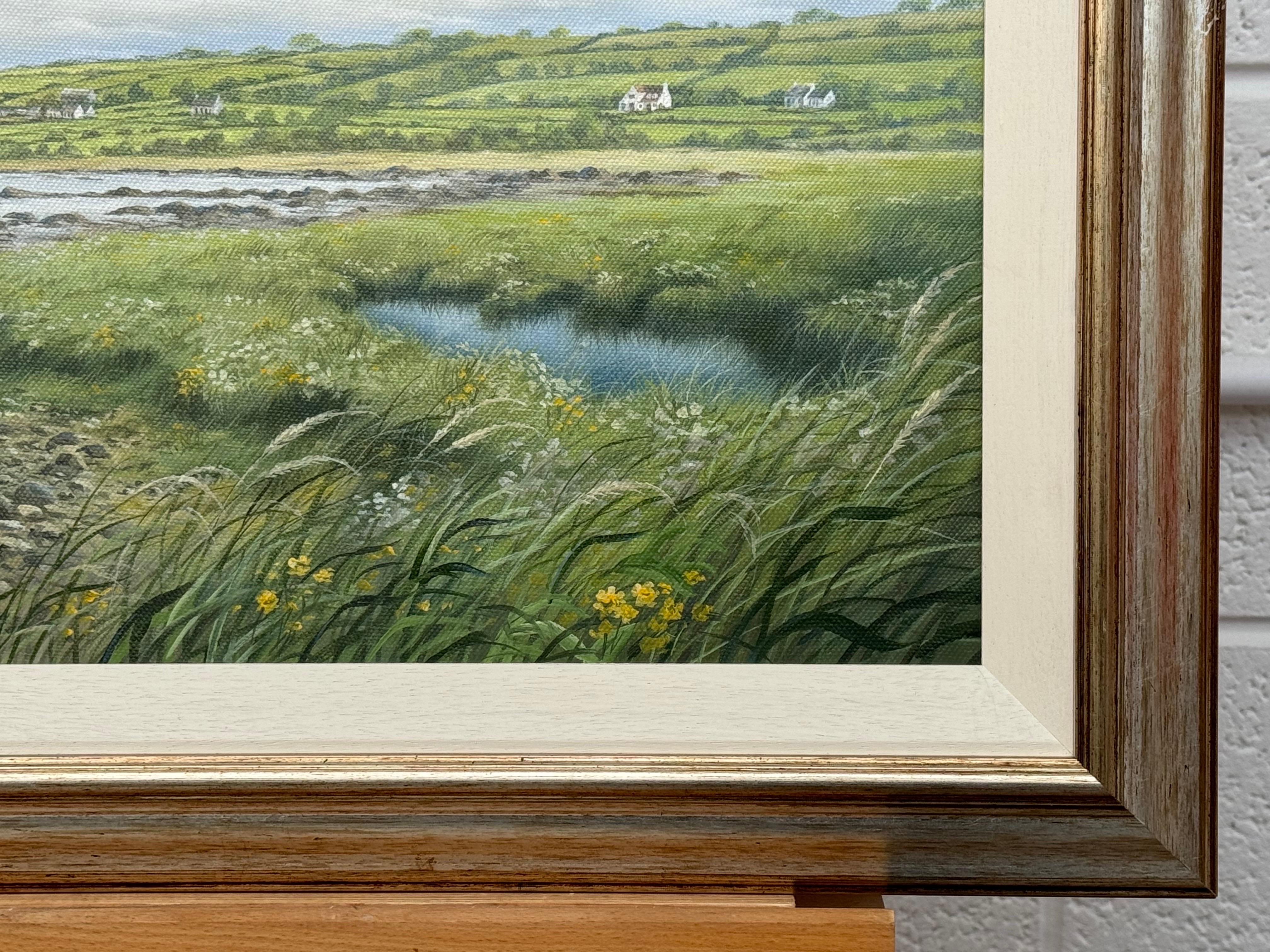 Tranquila escena costera irlandesa con campos verdes, costa rocosa y cielo extenso en venta 5