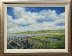 Tranquil Irish Coastal Scene with Green Fields, Rocky Shore & Expansive Sky