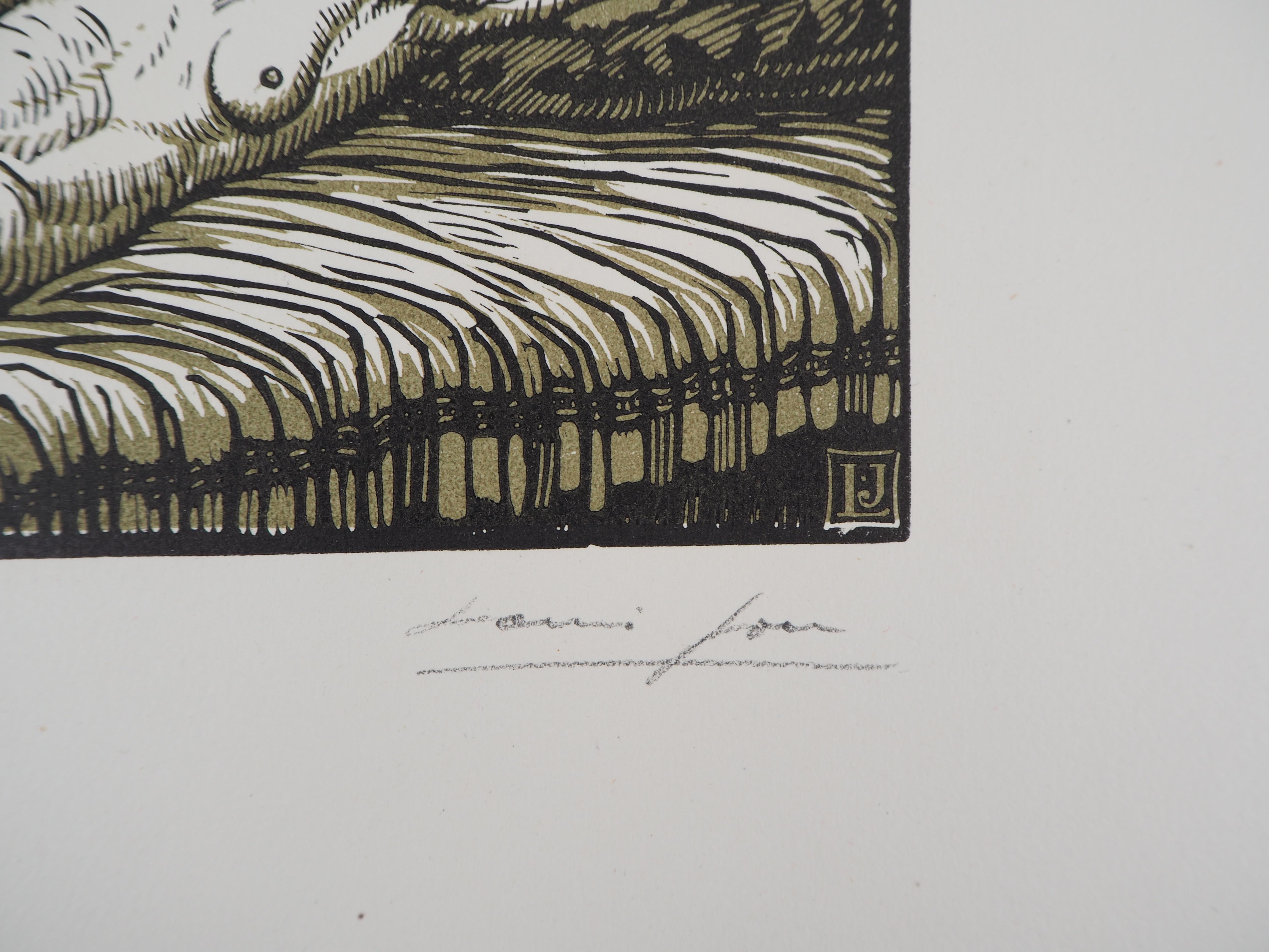Mitologia: Dana addormentata - Incisione originale su legno, firmata e numerata con la mano - Print di Louis JOU 