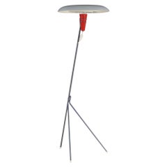 Lámpara de pie "NX38" de Louis Kalff para Philips, Países Bajos 1950