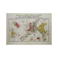 1946 original map "Les vins des côteaux de la Loire - Pouilly-sur-Loire"  Larmat