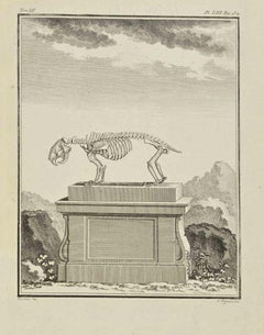 Das Skelett – Radierung von Louis Legrand – 1771