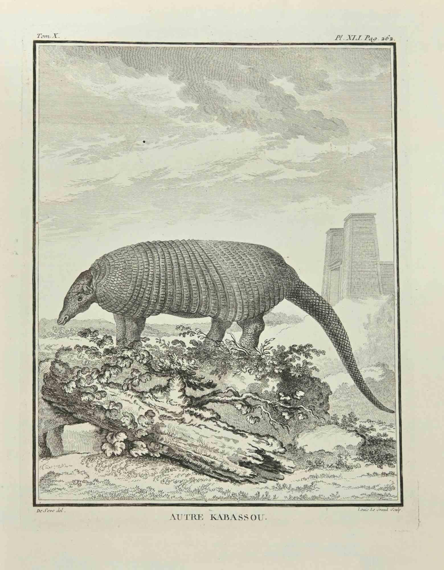 Autre Kabassou is an etching realized in 1771 by Louis Legrand (1723-1807).

Titled and Signed on the plate.

The artwork Belongs to the suite "Histoire naturelle, générale et particulière avec la description du Cabinet du Roi". Paris: Imprimerie