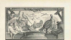 Birds - Etching by Louis Legrand - 1771
