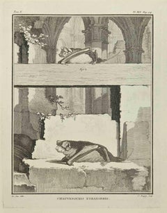 Chauvesouris - Etching by Louis Legrand - 1771