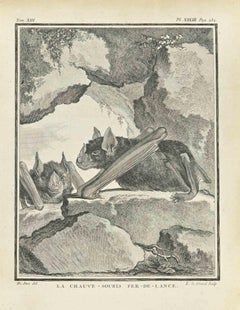 La Chauve - Etching by Louis Legrand - 1771
