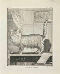 Le Chat d'Angora - Etching by Louis Legrand - 1771