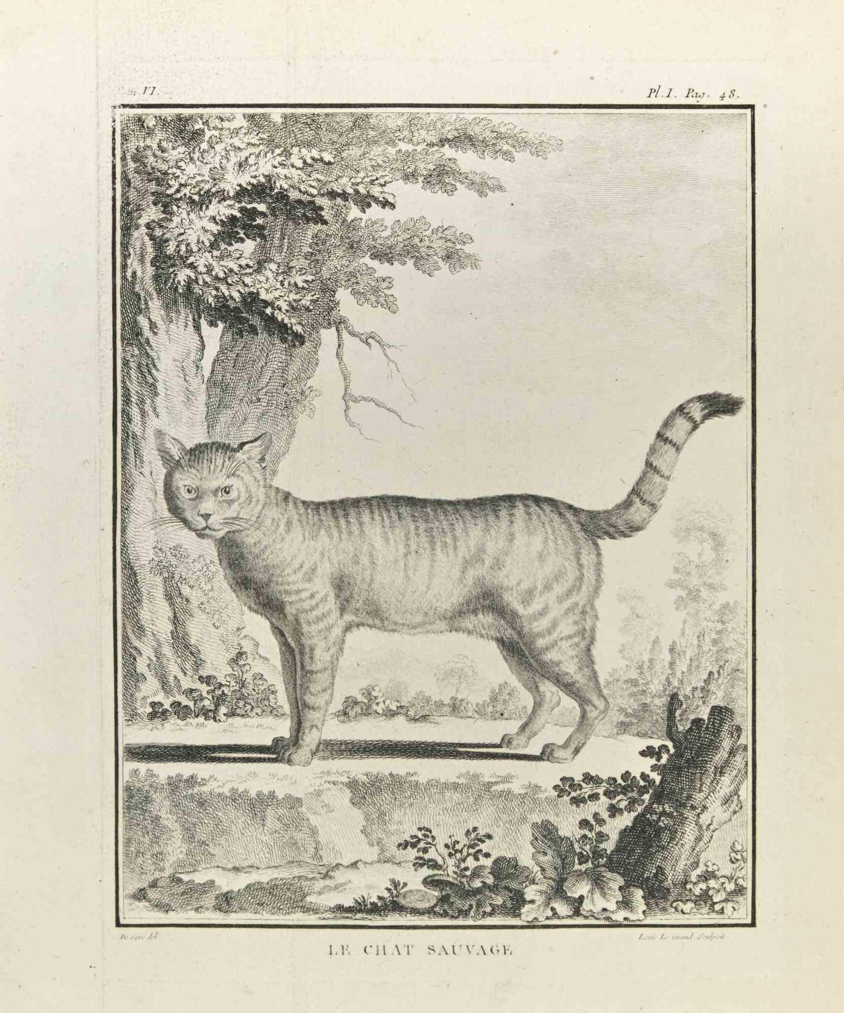 Le Chat Sauvage est une eau-forte réalisée en 1771 par Louis Legrand (1723-1807).

L'œuvre d'art est représentée par des traits assurés dans une composition bien équilibrée.

Bonnes conditions.
 

 