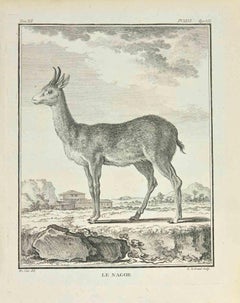 Le Nagor - Etching by Louis Legrand - 1771