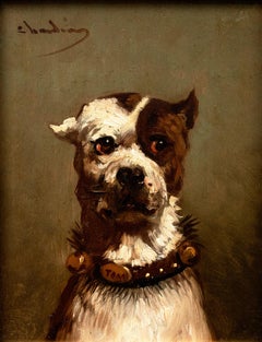 Portrait of "Tom" a Bulldog by Jules Chardigny (1842-1892)