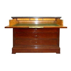 Louis Philippe Commode / Pull-Front Desk