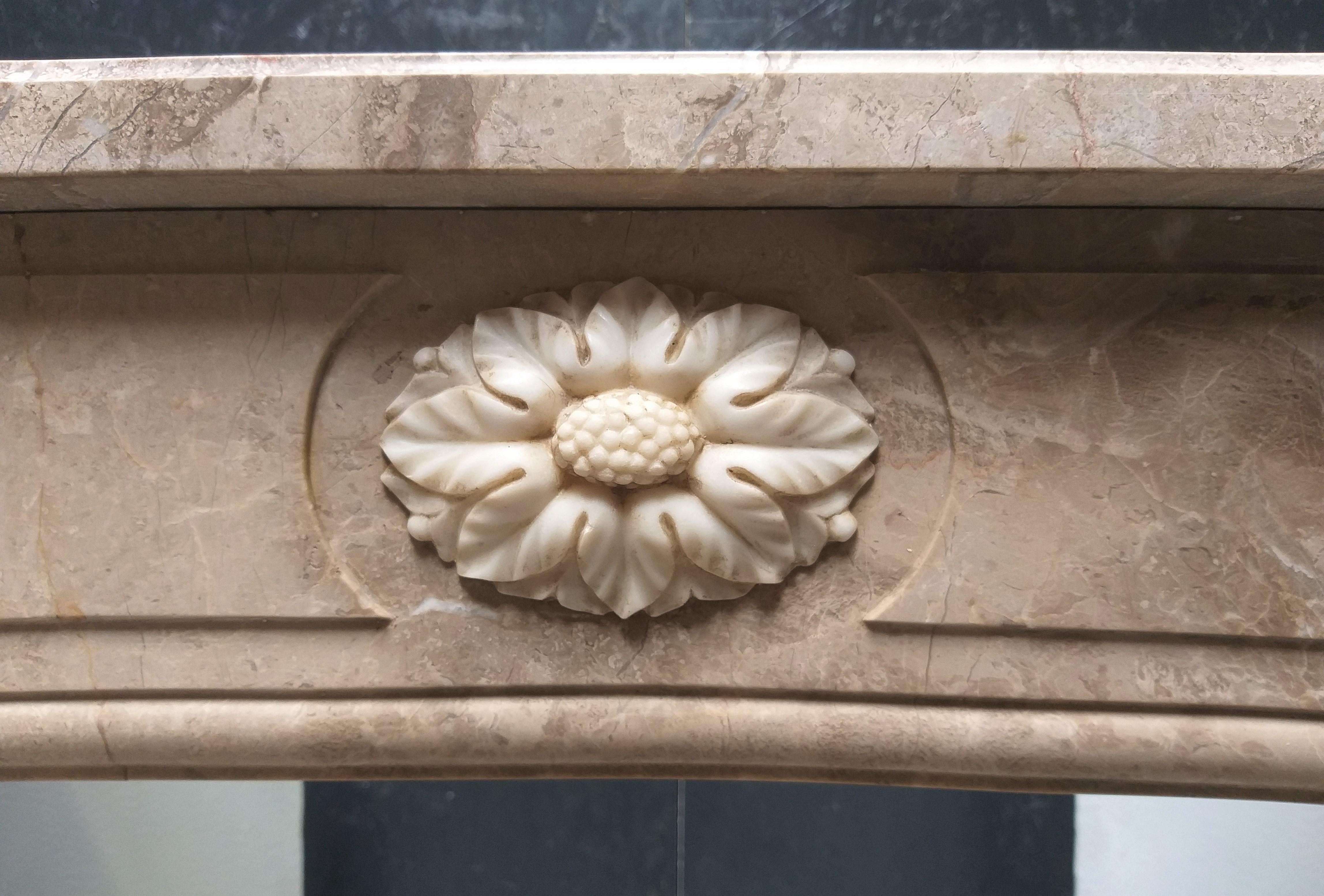 Marble Louis Philippe Fireplace, ca. 1875 For Sale