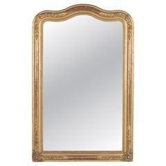 Louis Philippe Gilded Mirror, French Antique Floral Decor, Circa 1880