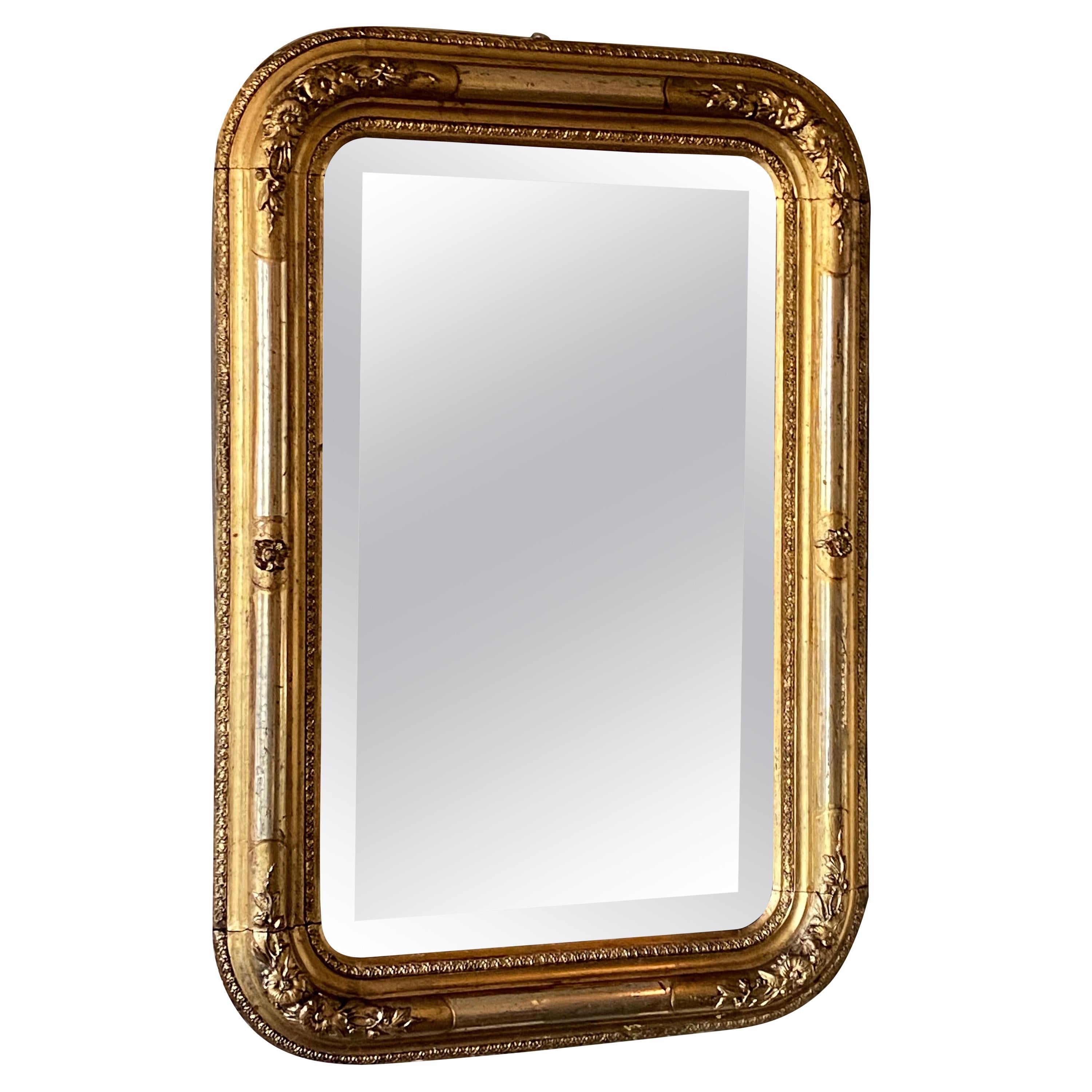 Louis Philippe Gold and Silver Gilt Mirror, French Mid-19th Century Neoclassical