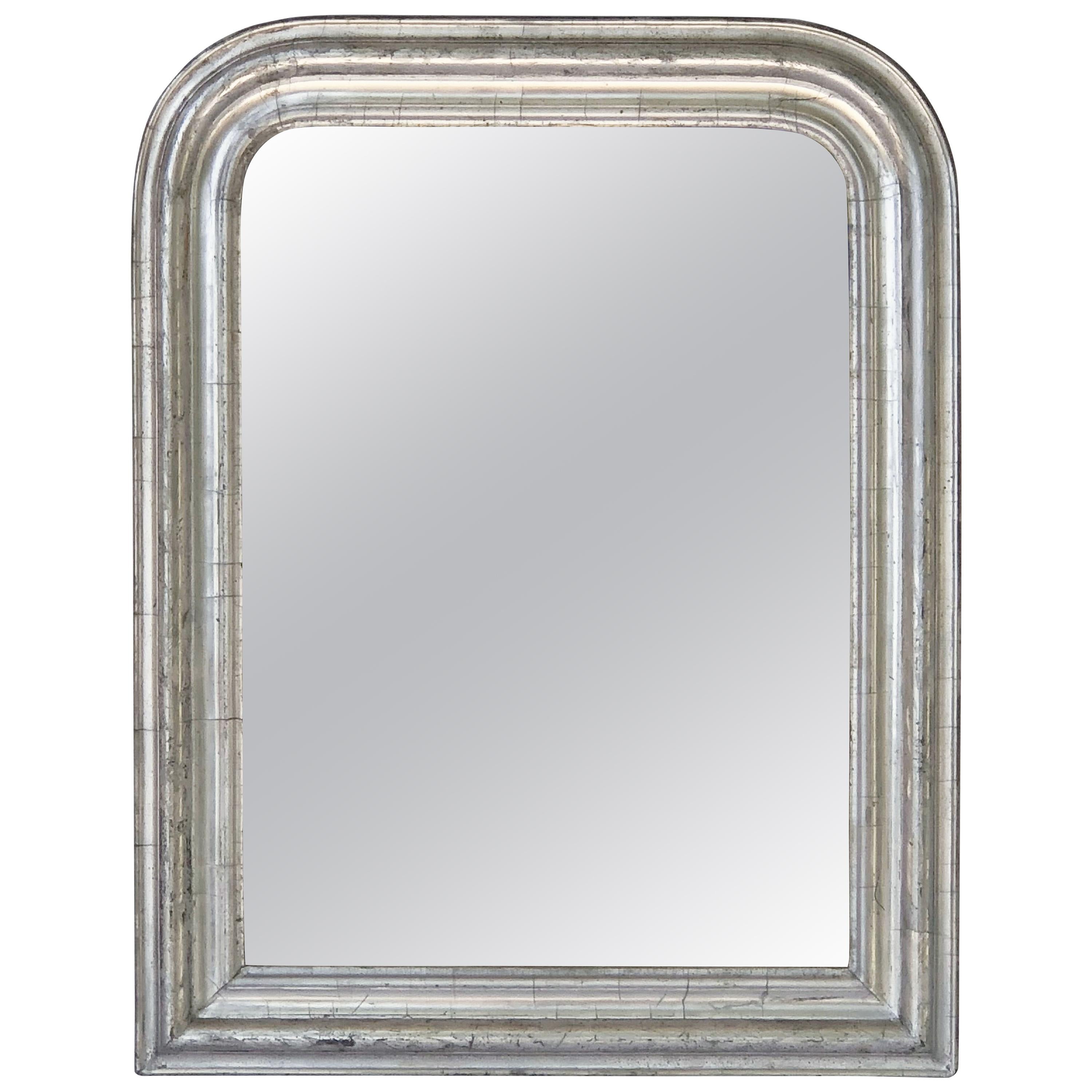 Louis Philippe Silver Gilt Mirror (H 26 x W 20 1/4)