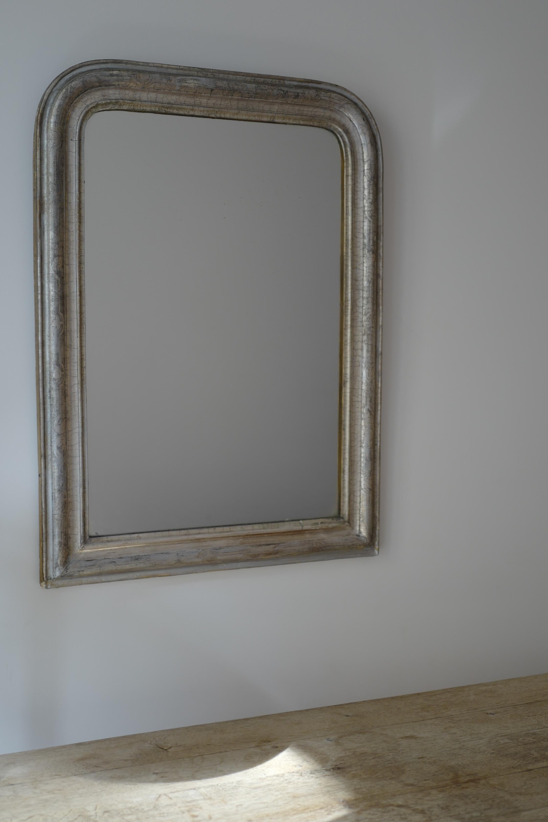 Hand-Painted 19th Century French Louis Philippe Silver Leaf Giltwood Mirror For Sale