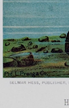"Holothurians and Sea Star, " Original Color Lithograph by Louis Prang