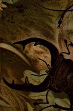 19th century color lithograph beetles nature forest tree leaves animal signed