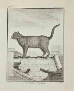 Antique Le Chats Des Chartreux - Etching by Louis-Simon Lempereur - 1771